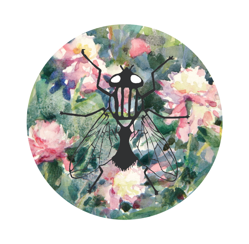 a group of stentors, trumpet-shaped single-celled animals